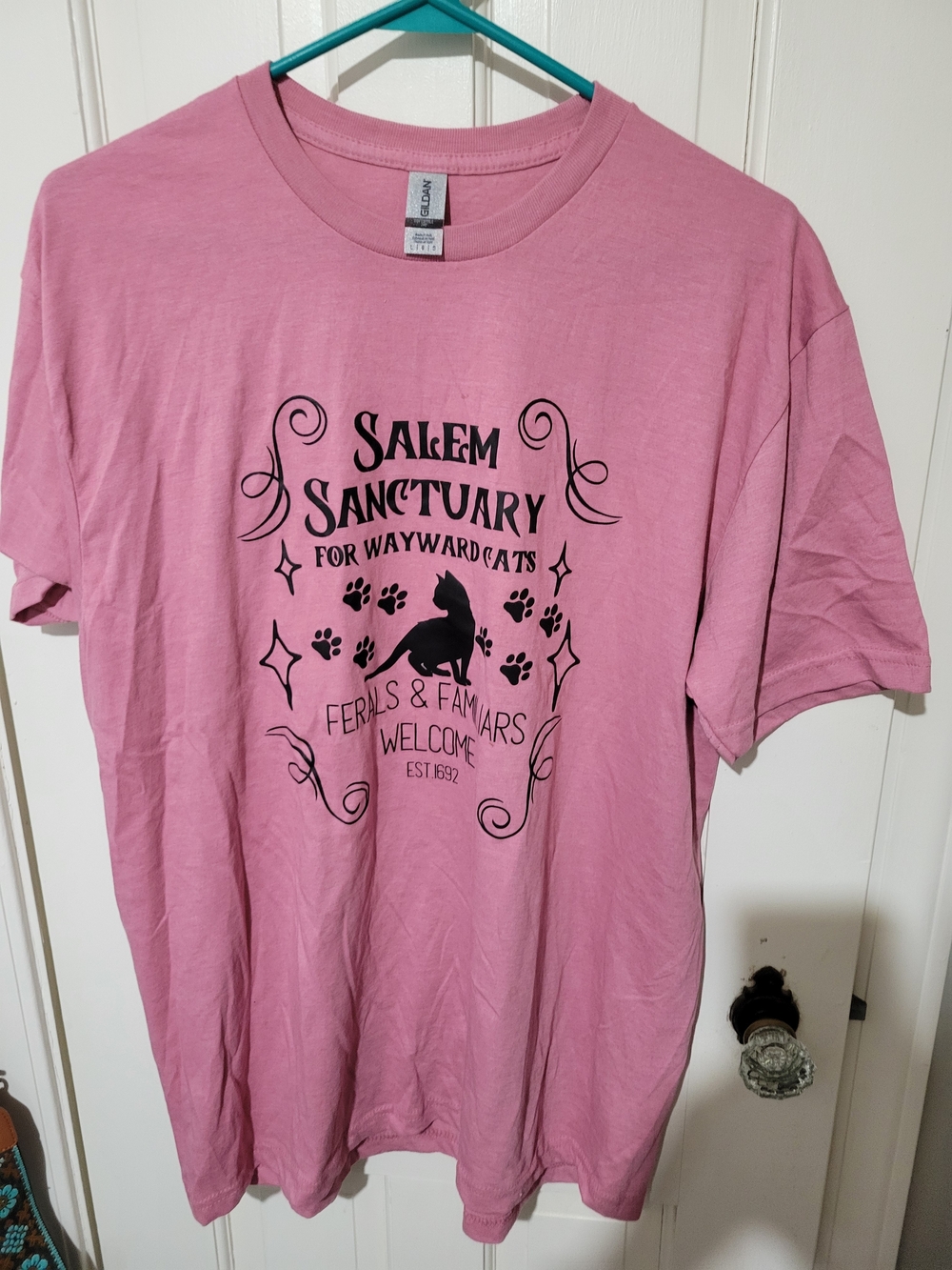 Pink Salem Sanctuary For Wayward Cats Graphic Tee - Picture 2 of 3